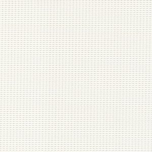 P02 - White