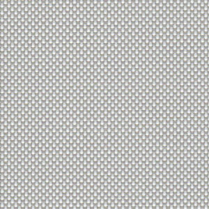 P05 - White/Platinum