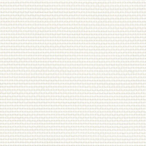 P02 - White