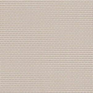 Q05 - Bone