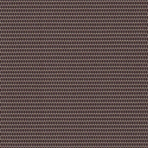 Q98 - Mocha