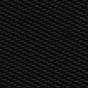 V10 - Ebony