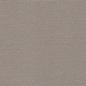 Q58 - Mushroom
