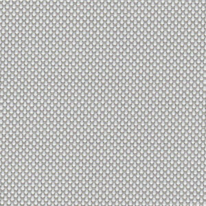 P05 - White/Platinum