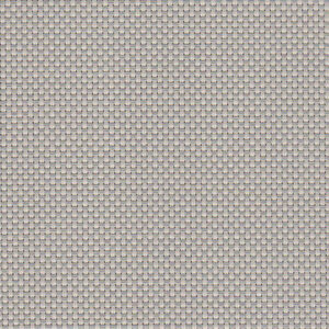 Q06 - Bone/Platinum