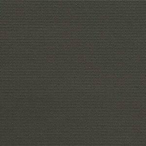 000030 - Charcoal