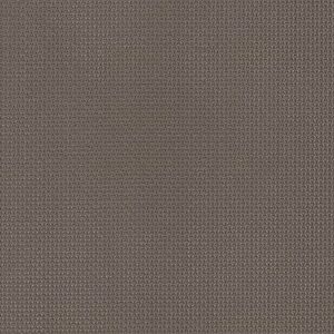 1306 - Bronze
