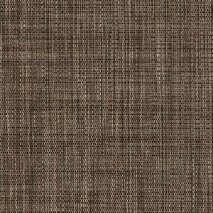 D2337 - Hazelnut