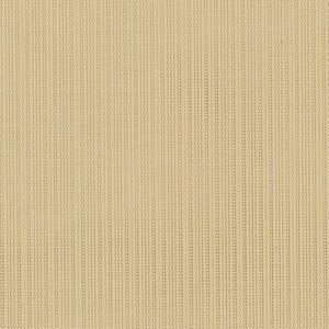 25.07 - Mustard/Pearl