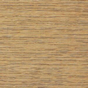 0100N5 - Papyrus