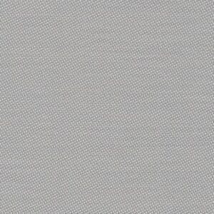 02.07 - Pebble