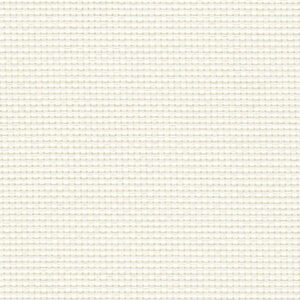 P02 - White